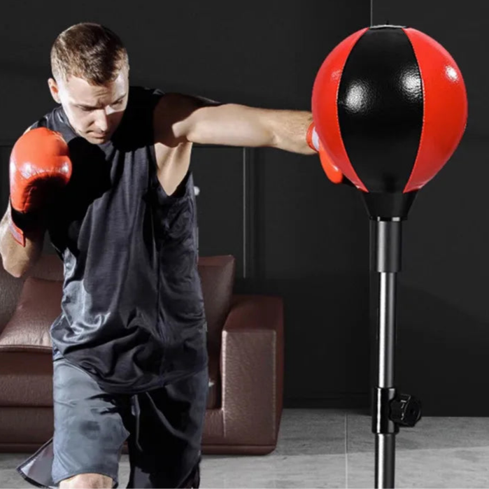 Boxing Speed Ball