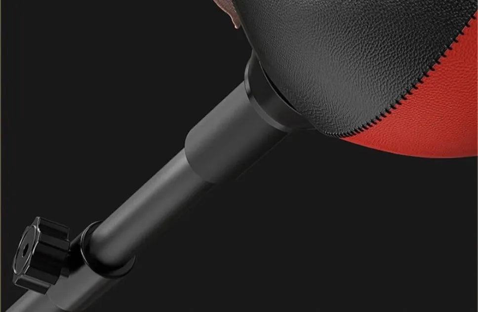 Boxing Speed Ball