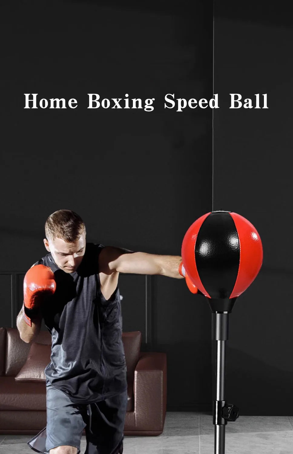 Boxing Speed Ball