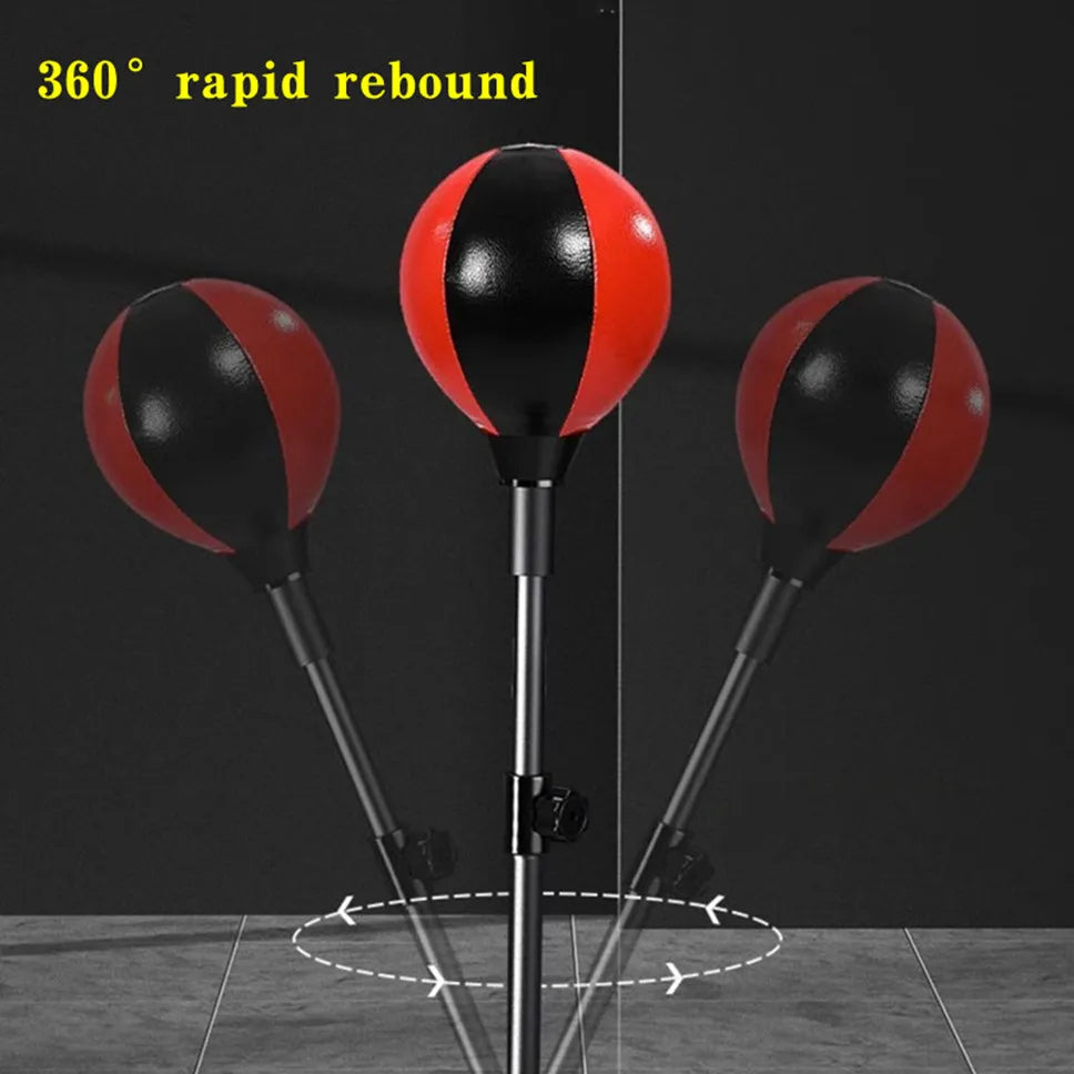 Boxing Speed Ball